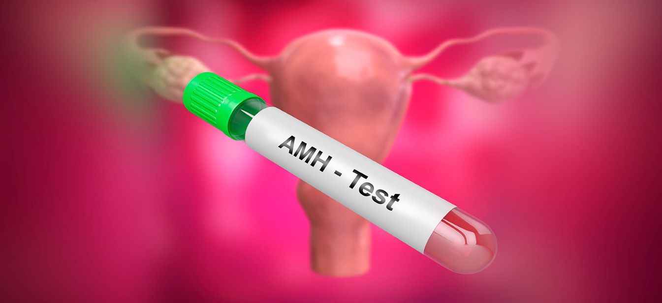 amh level test image